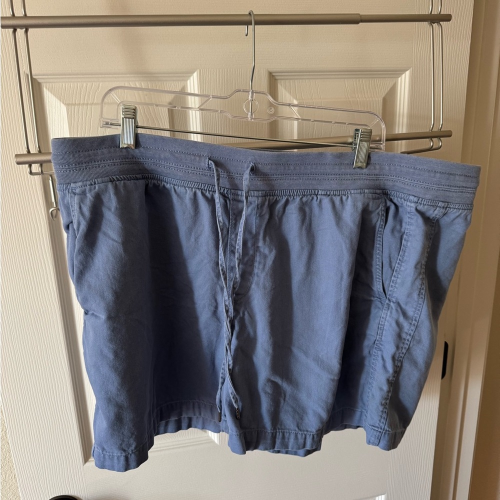Orvis Light Blue Casual Shorts